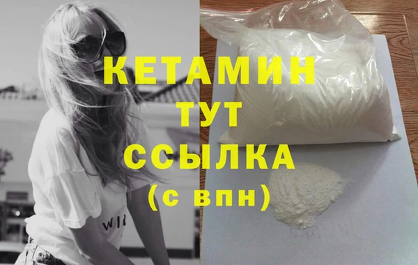 крисы Баксан