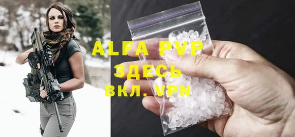 крисы Баксан