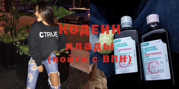 крисы Баксан