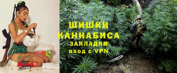 крисы Баксан