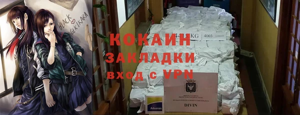 крисы Баксан