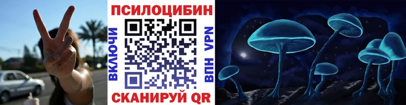 ОМГ ОМГ зеркало  Богучар  сайты даркнета наркотические препараты  Галлюциногенные грибы Psilocybe 